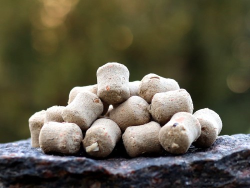 dumbells tonące 1200.jpg