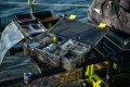 storage-boxes-15.jpg
