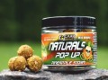 pineapplestorm naturals pop up 18mm 2021.jpg