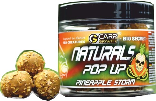 pineapplestorm naturals pop up 18mm 2022.jpg