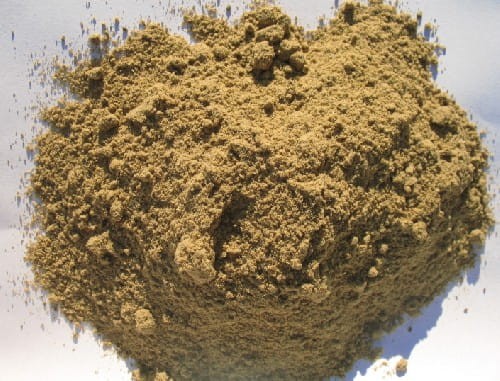 maczka lososiowa.jpg