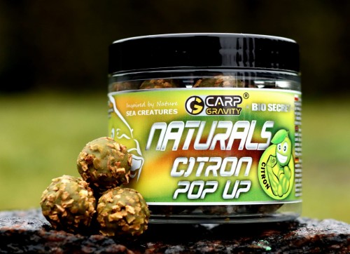 naturals pop up 18mm citron 2023.jpg