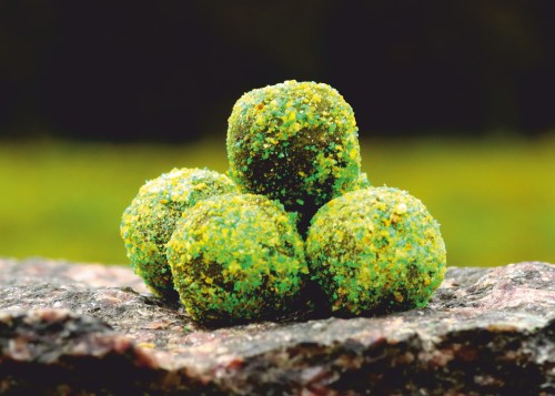 citron nowe HB 2023 15mm.jpg