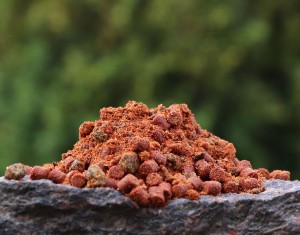 Carp Gravity PVA Crushed Mix Zołza 1kg