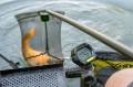 fish-clicker-09.jpg