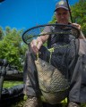 carp-latex-landing-nets-29-copy.jpg