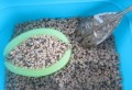 8d40e10d4b84fadf130a5416cce2d8a0