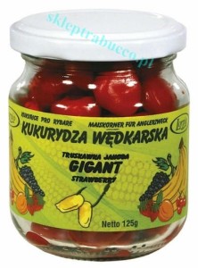 Kukurydza Gigant Truskawka Lorpio