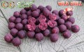 f9cbcca434fe0a84d6ae6c1cca8b3515